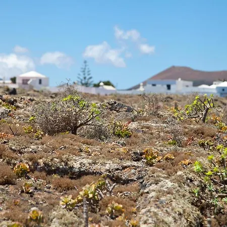 El Campesino Lanzarote Island