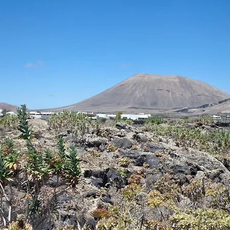 El Campesino Lanzarote Island